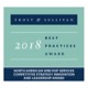 Frost & Sullivan 2018 Best Practices Award - North American SMB VoIP Services Competitive Strategy Innovation and Leadership Award Logo